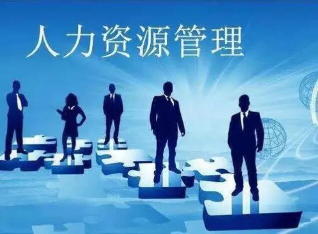 深圳大学自考人力资源管理独立本科专业