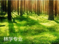 华南农业大学成人高考林学专升本专业